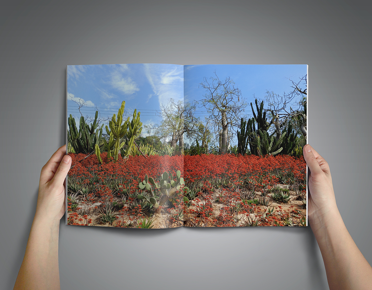 植物園畫(huà)冊(cè)（圖ZMTY4NjY1MTIw） - 書(shū)籍/畫(huà)冊(cè) - 站酷設(shè)計(jì)師siyton原創(chuàng)素材 - 站酷ZCOOL