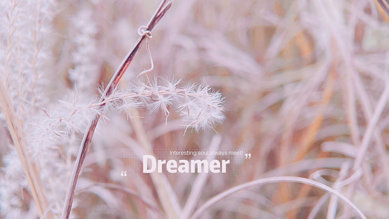 摄影作品4-花草/雨露