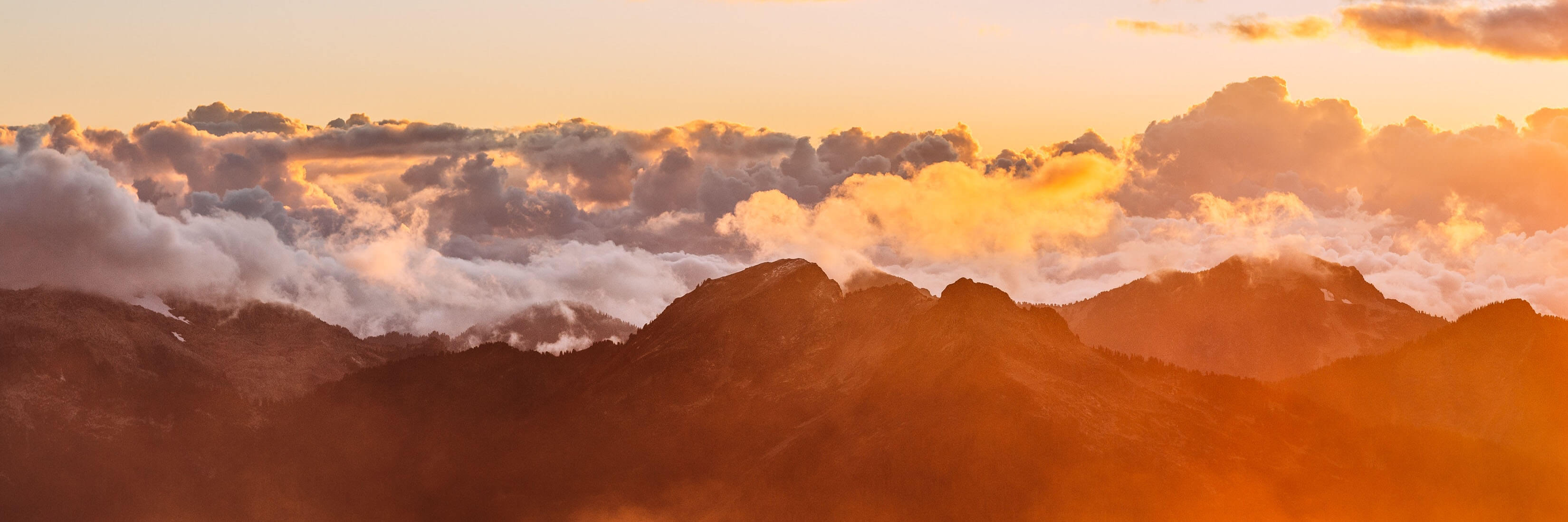 叉烧饭加蛋的个人主页（背景预览） - 主页背景设置 - 站酷设计师叉烧饭加蛋原创素材 - 站酷ZCOOL