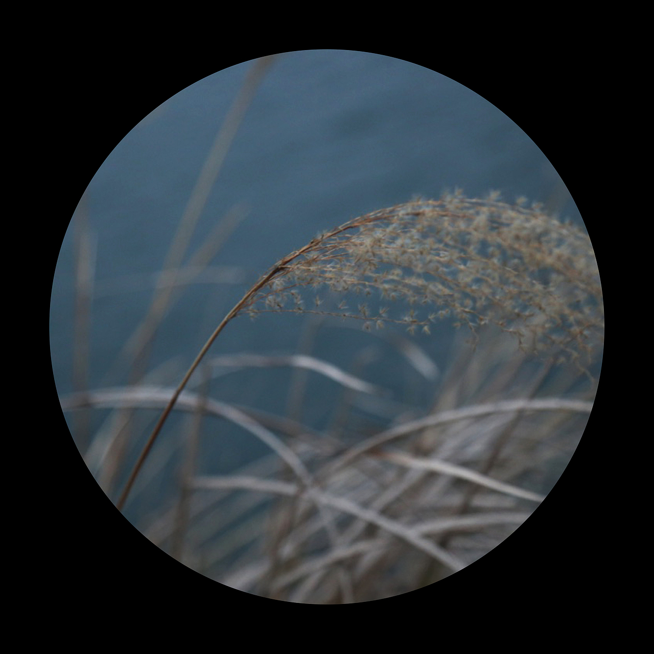 老家！（图ZNjk1ODg2MDg=） - 风光摄影 - 站酷设计师理性的疯子原创素材 - 站酷ZCOOL