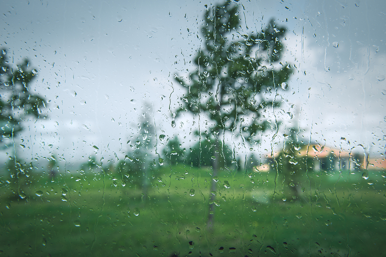 一棵树站立在窗外的大雨之中。