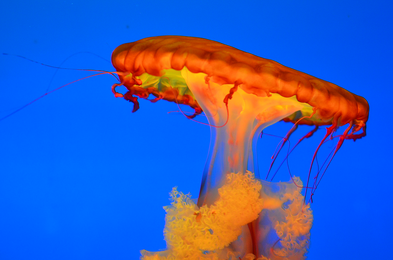 入坑杂拍之2000快门