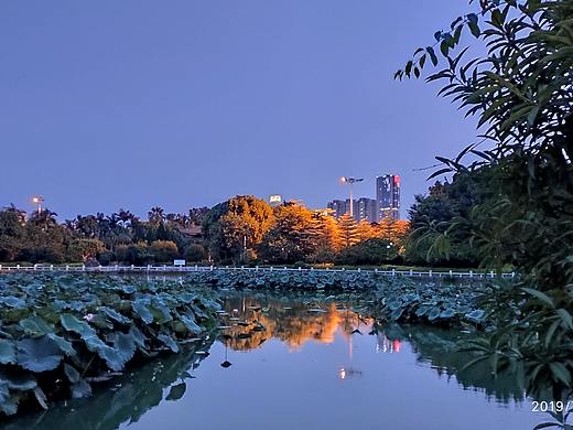 傍晚的东湖公园