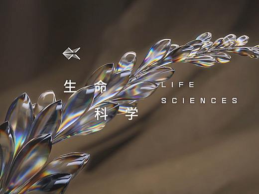 2020 SCIENCE XPLORE AWARD 科学探索奖 - PART 2