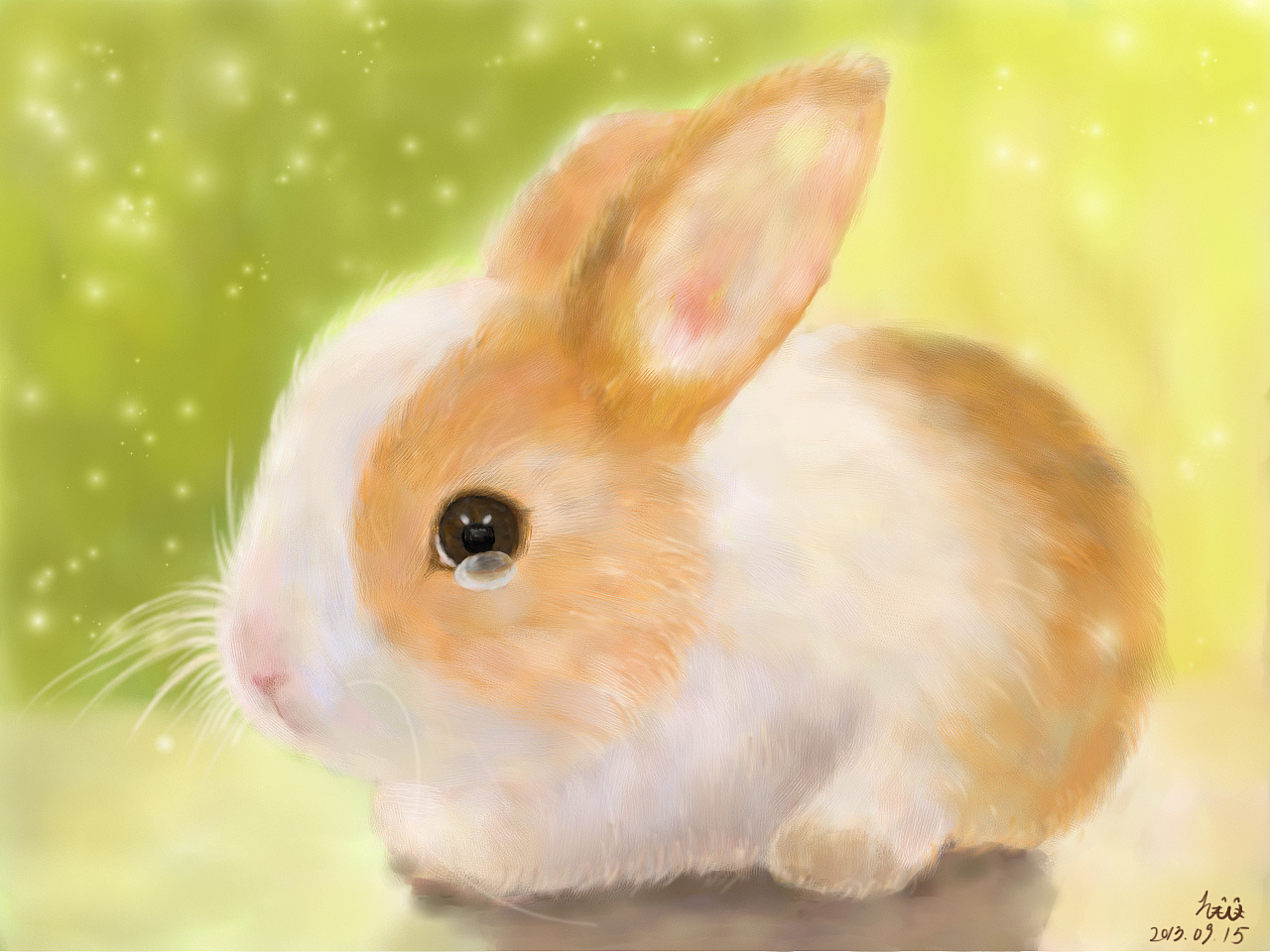 兔子|插画|创作习作|hvane - 原创作品 - 站酷 (zcool)