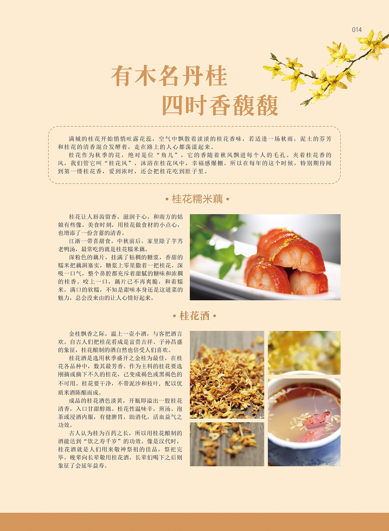 《陶都优品》