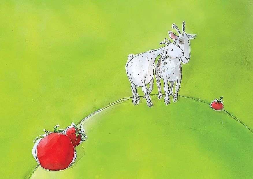 嗨插画获奖作品《女巫和苹果》