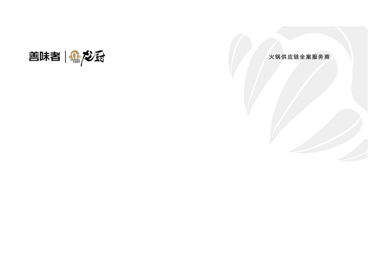 龙厨VI手册设计