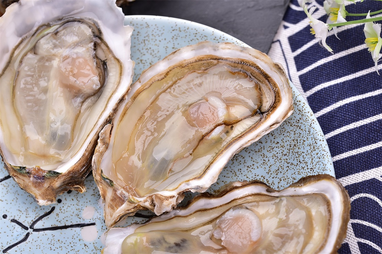 活海鲜 海蛎子章鱼（图ZMTAyMzQwOTc2） - 产品摄影 - 站酷设计师天使飞不走原创素材 - 站酷ZCOOL
