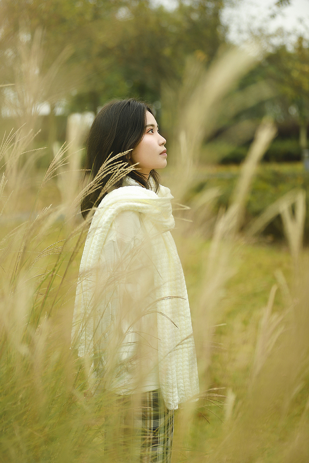 秋日的日常写真芦苇冬季（图ZMjMwMDYyNTI0） - 人像摄影 - 站酷设计师成都摄影安静原创素材 - 站酷ZCOOL