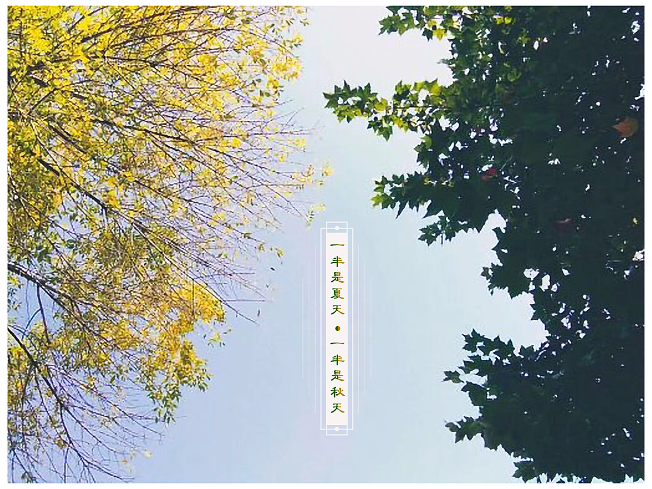 摄影-发现生活中的美