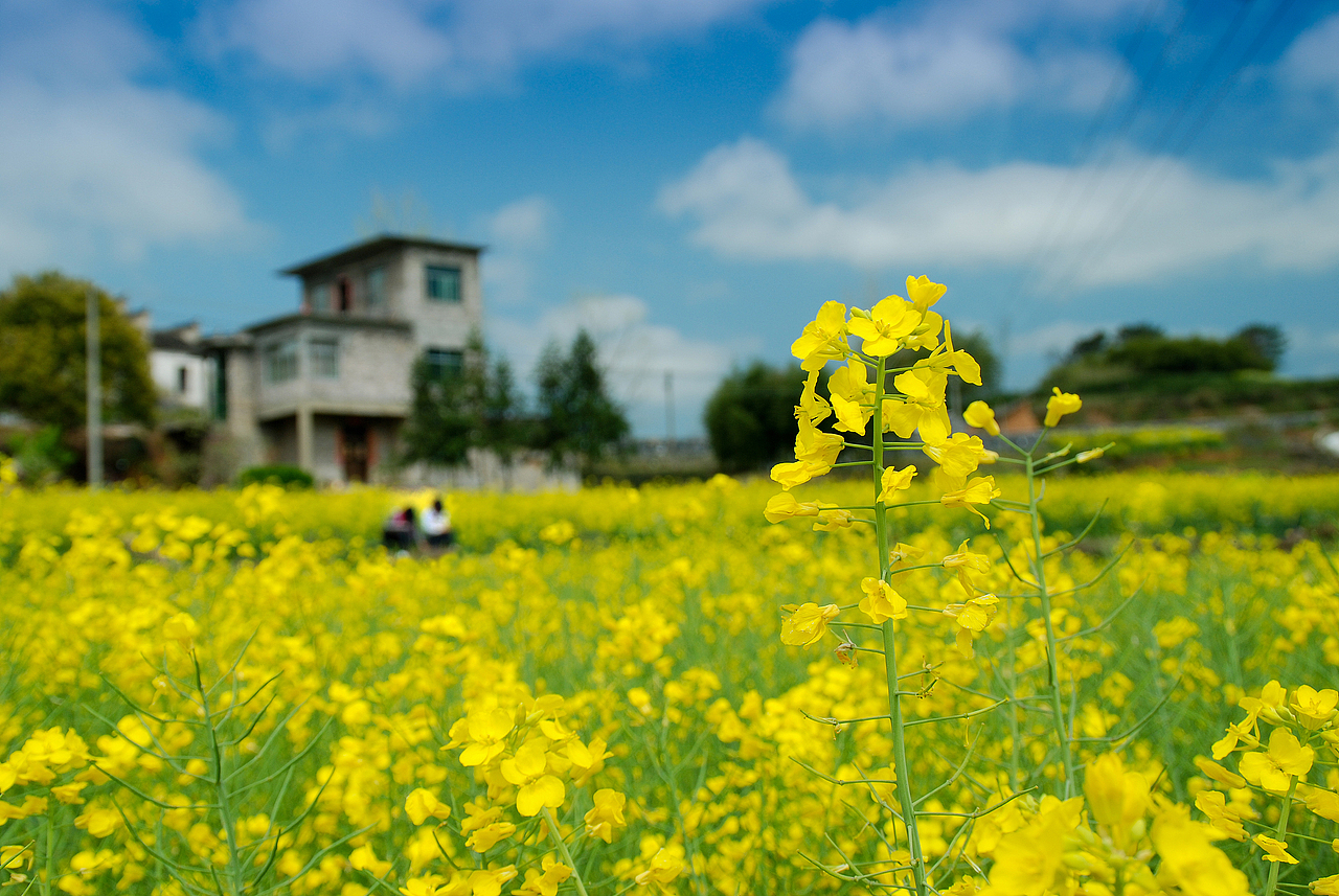 大学摄影随手拍拍（图ZMjUwOTMzMDQ=） - 风光摄影 - 站酷设计师传媒摄影人原创素材 - 站酷ZCOOL