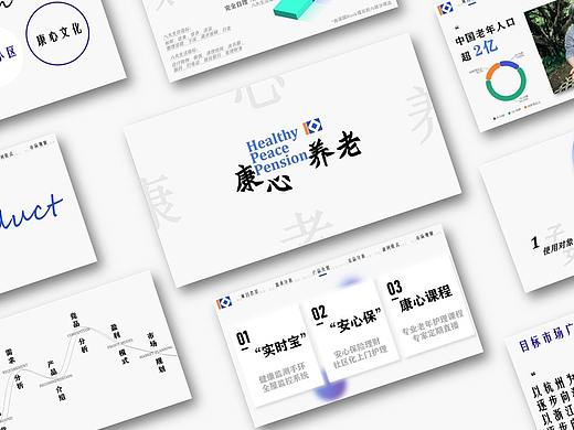 康心养老商业计划书PPT
