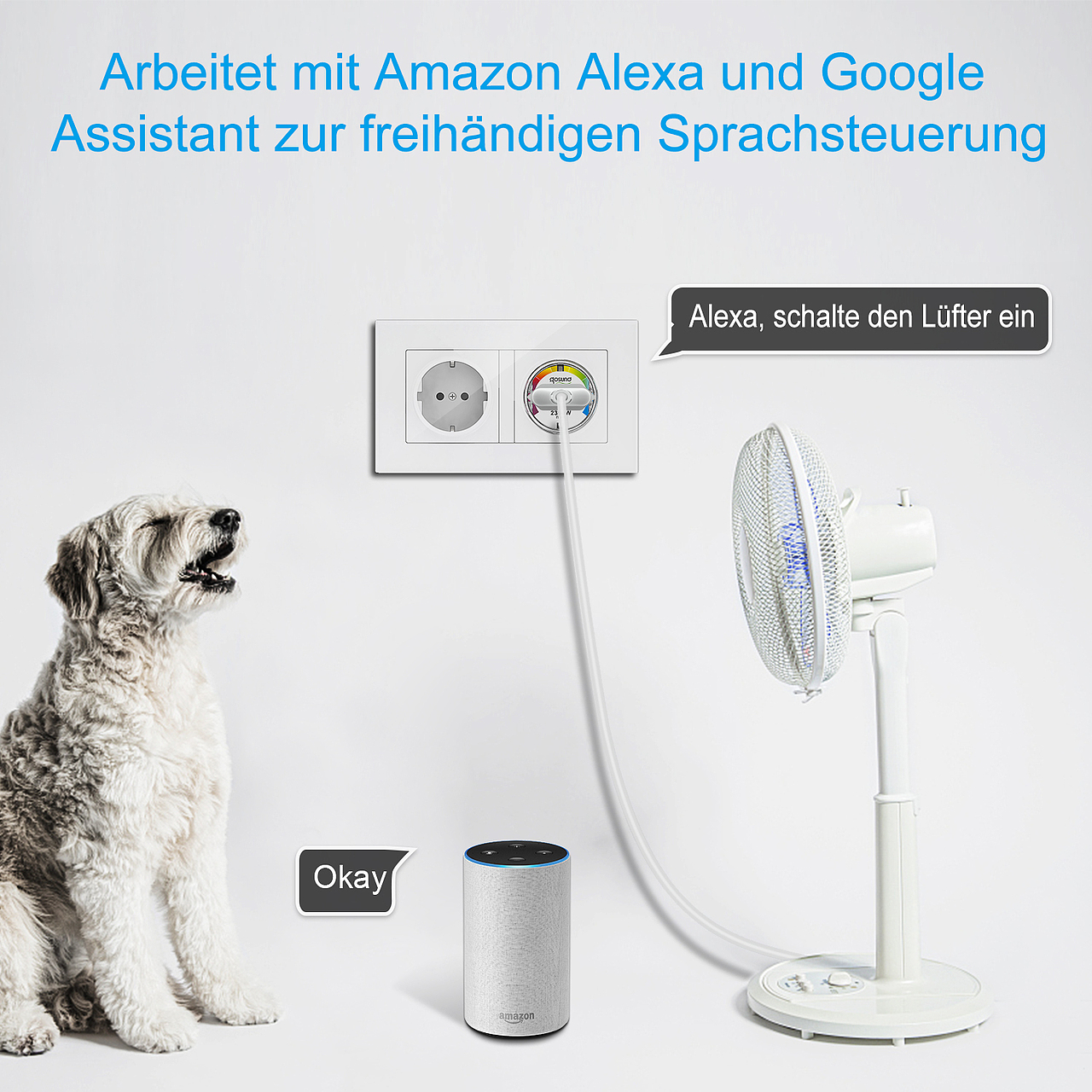 SP111欧规最小智能插头