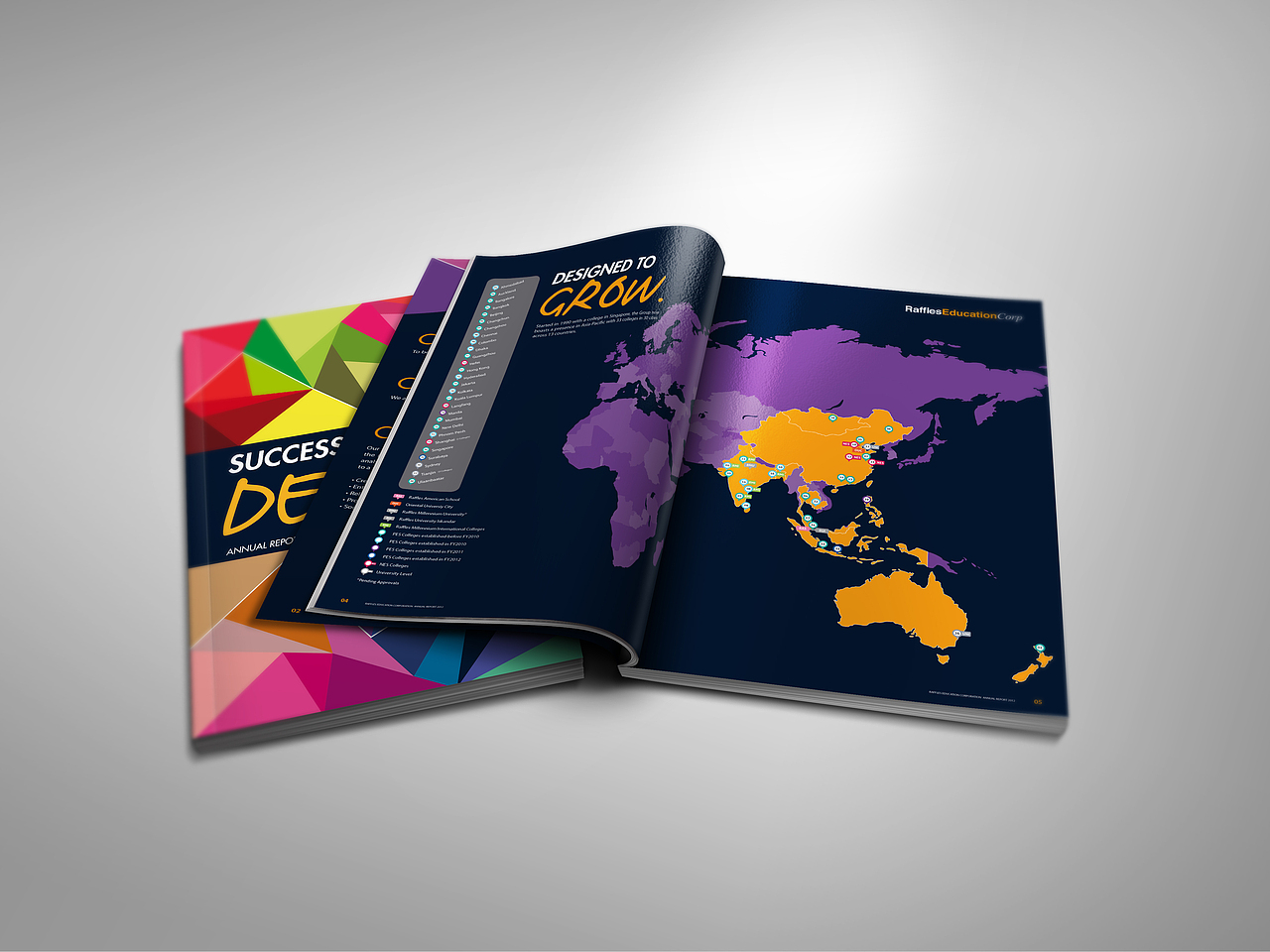 Success by Design Annual Report（图ZMzAyNTM5MTI=） - 书籍/画册 - 站酷设计师rayzong原创素材 - 站酷ZCOOL