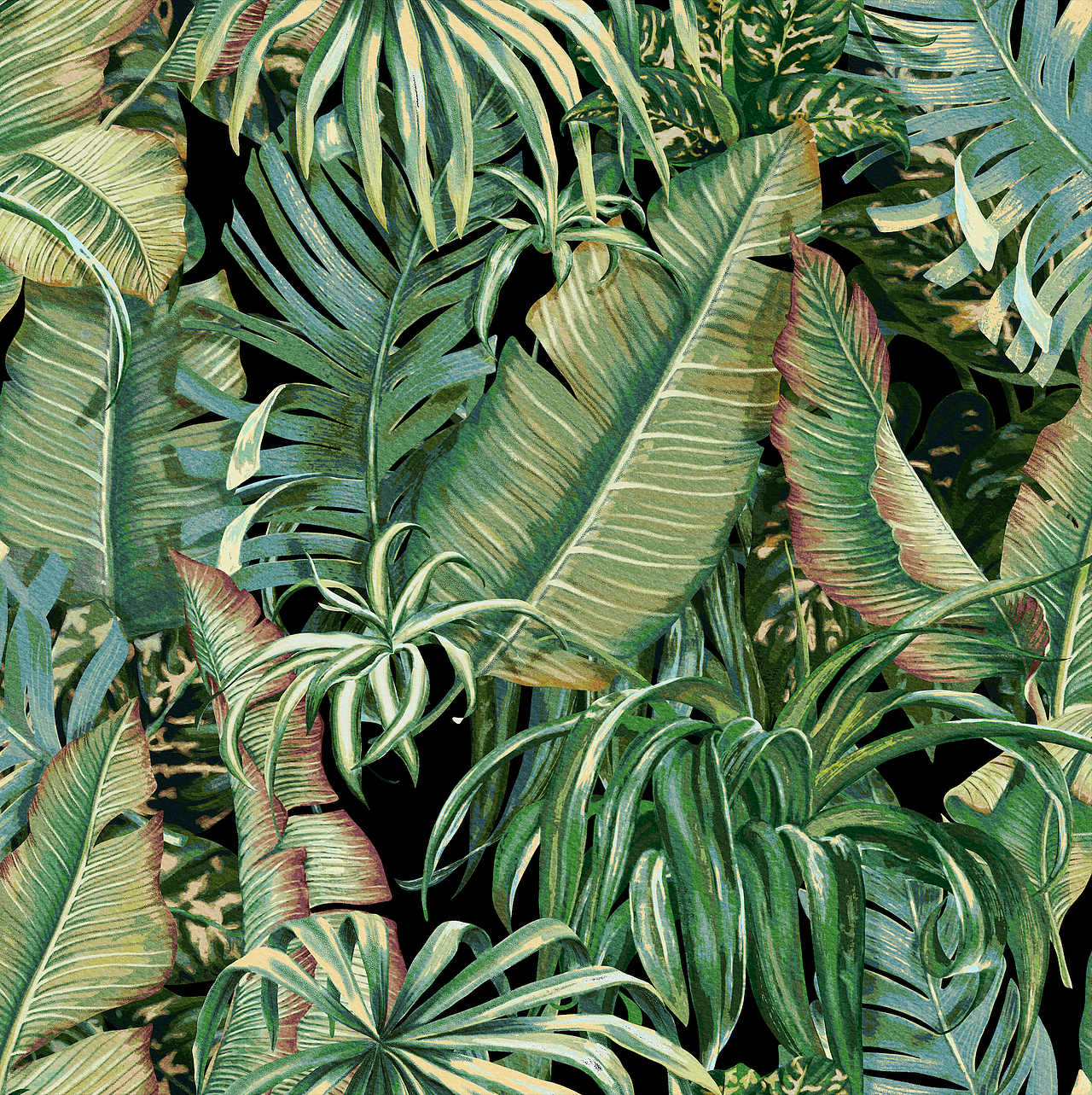 热带雨林|服装|其他服装|xiujia大耳朵 - 原创作品 - 站酷 (zcool)