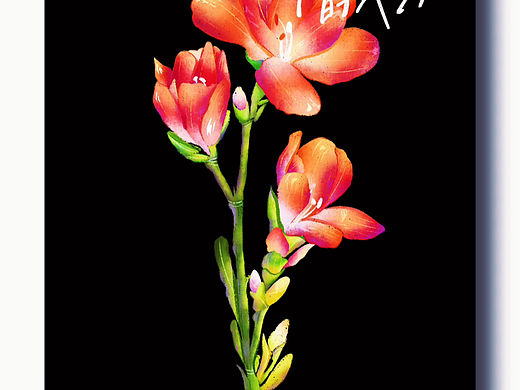 问答题：什么花？｜扁平肌理感