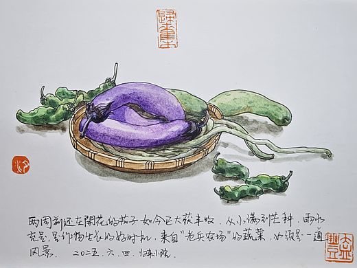 老兵农场带回的蔬菜，自是一道风景。