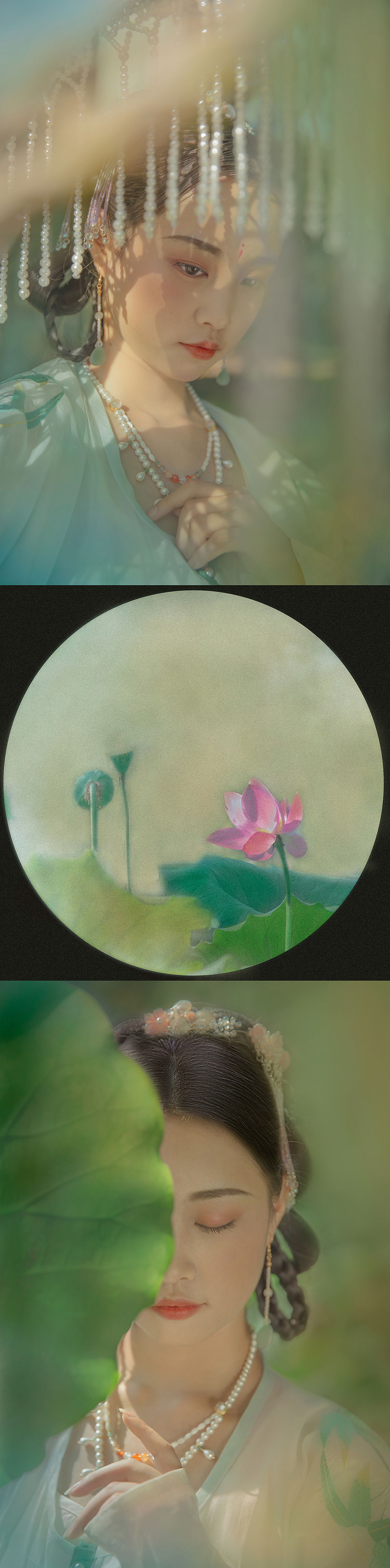 ‖一树满庭芳‖