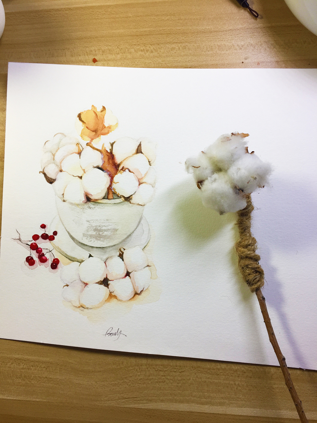 水彩手绘棉花
