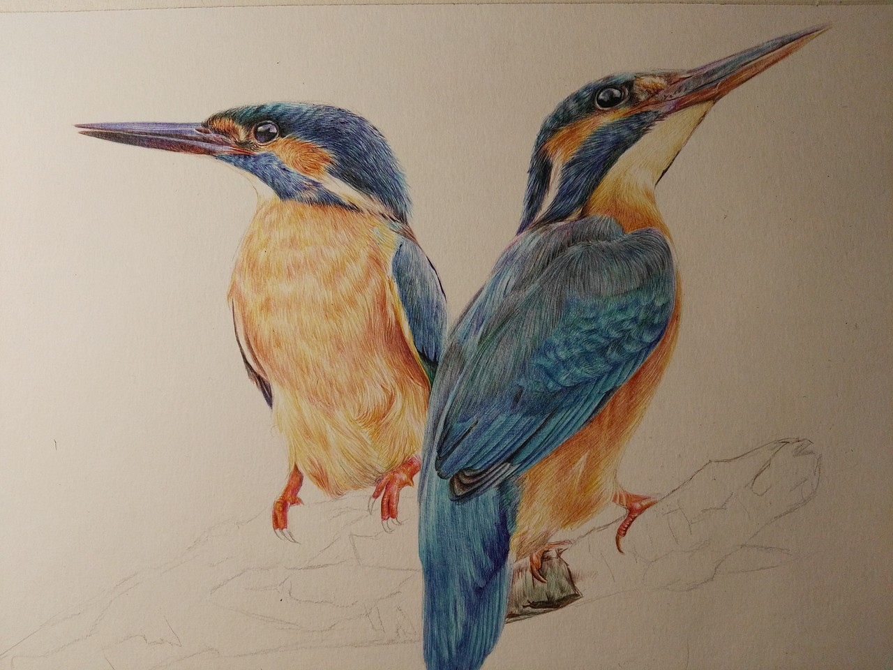 彩色圆珠笔作品《伴》（图ZOTgzOTQ0MjA=） - 绘画 - 站酷设计师浩轩手绘原创素材 - 站酷ZCOOL