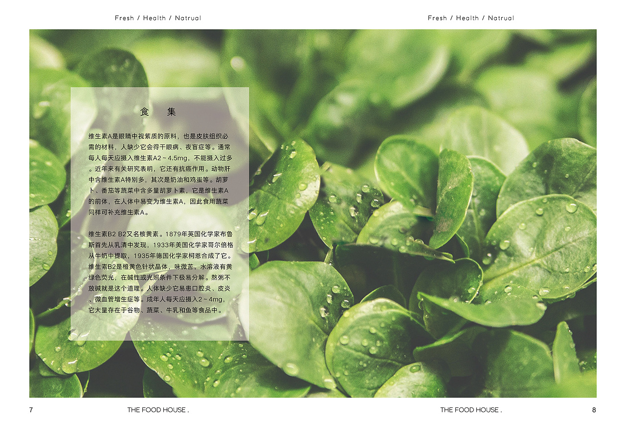 “食集”宣传画册（图ZMTAyNTI1MTQw） - 书籍/画册 - 站酷设计师别动我白色原创素材 - 站酷ZCOOL