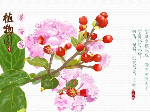 北京植物园文艺小清新手绘花朵明信片一套8张