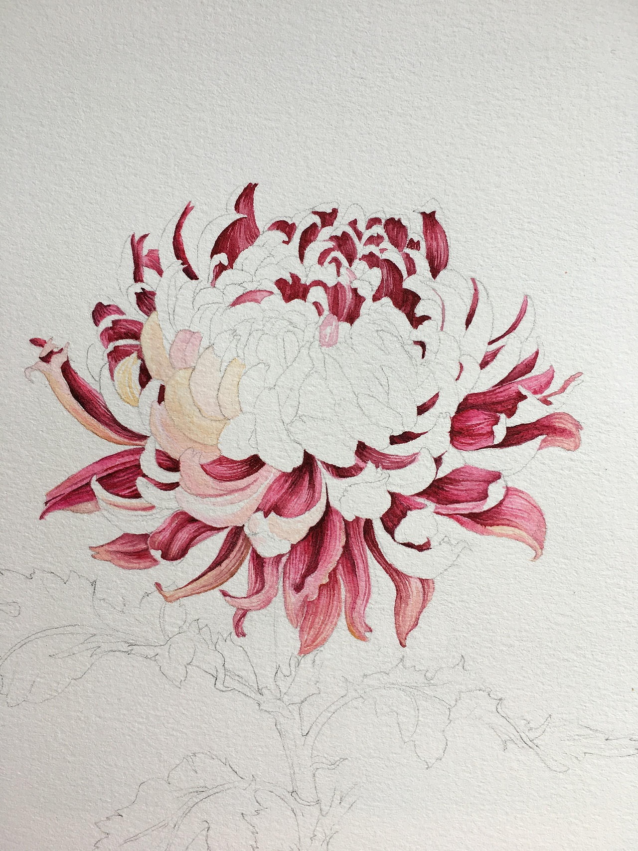 比较密集的地方,将受光面先空着最后在画了