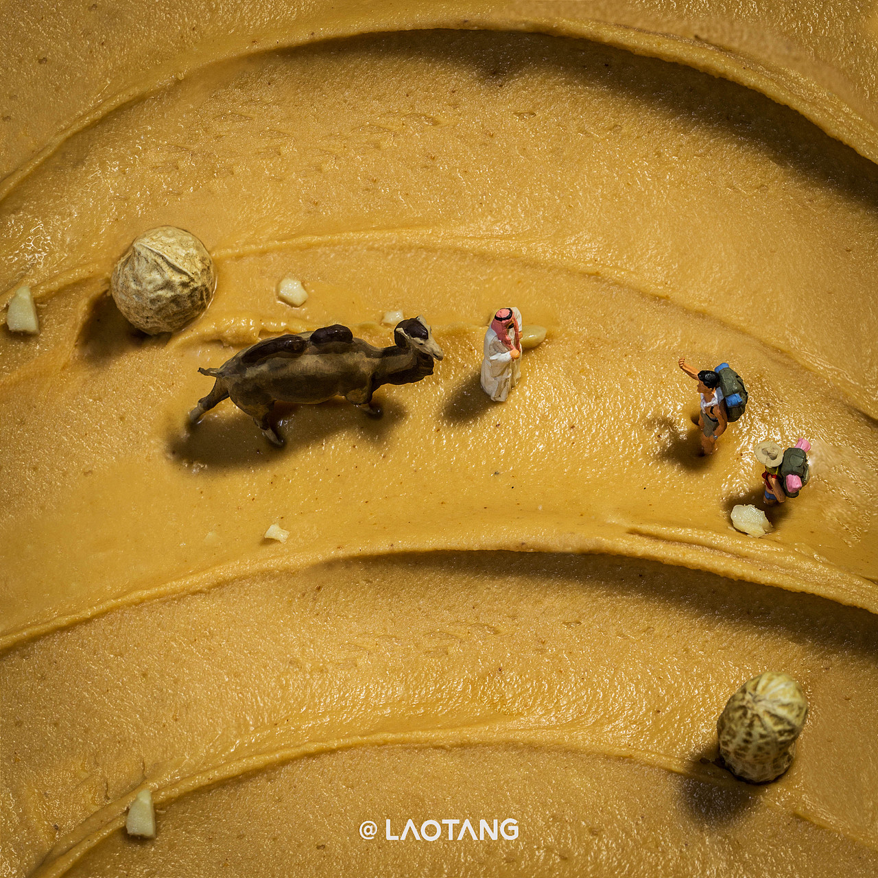 微缩摄影 ✖ 2021.07月份合集