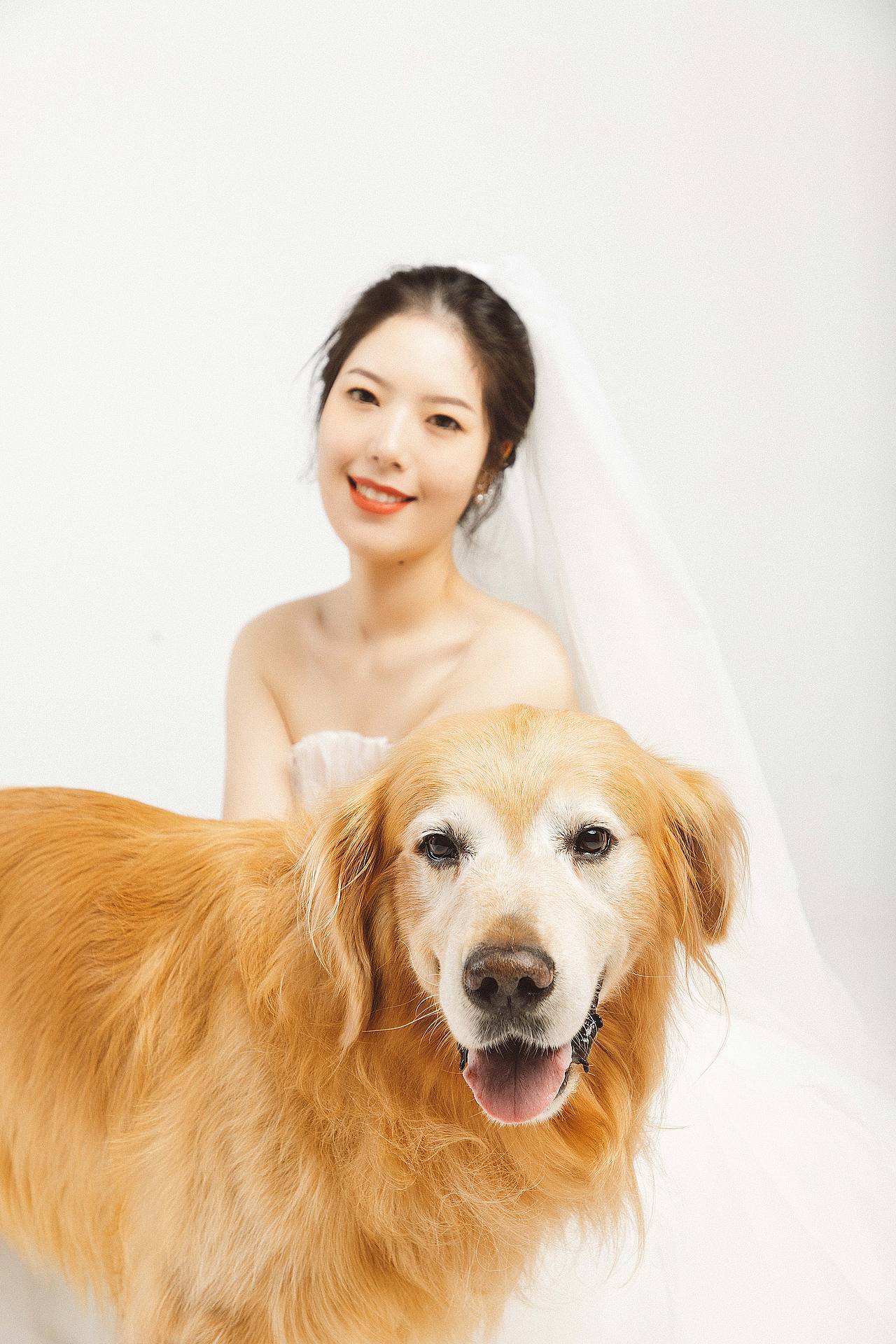 给金毛和他主人拍的婚纱写真