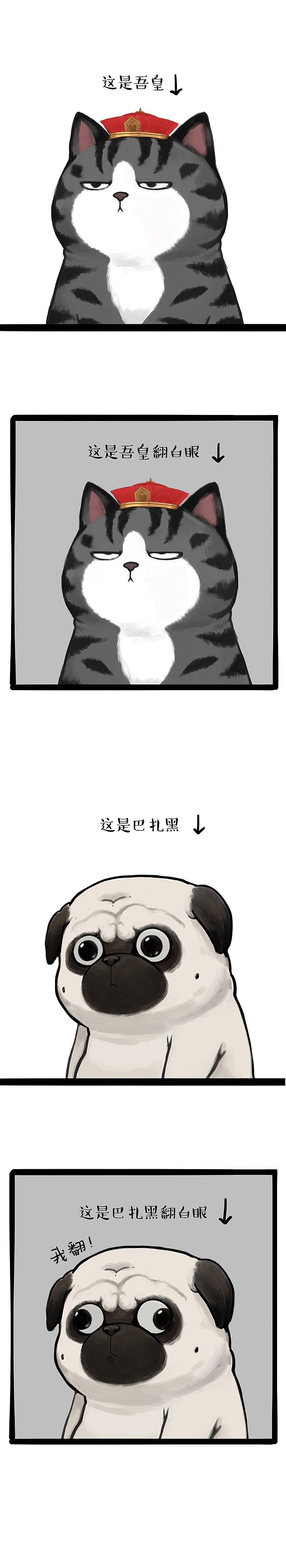 万水千山总是情，你的妙招我看不太行