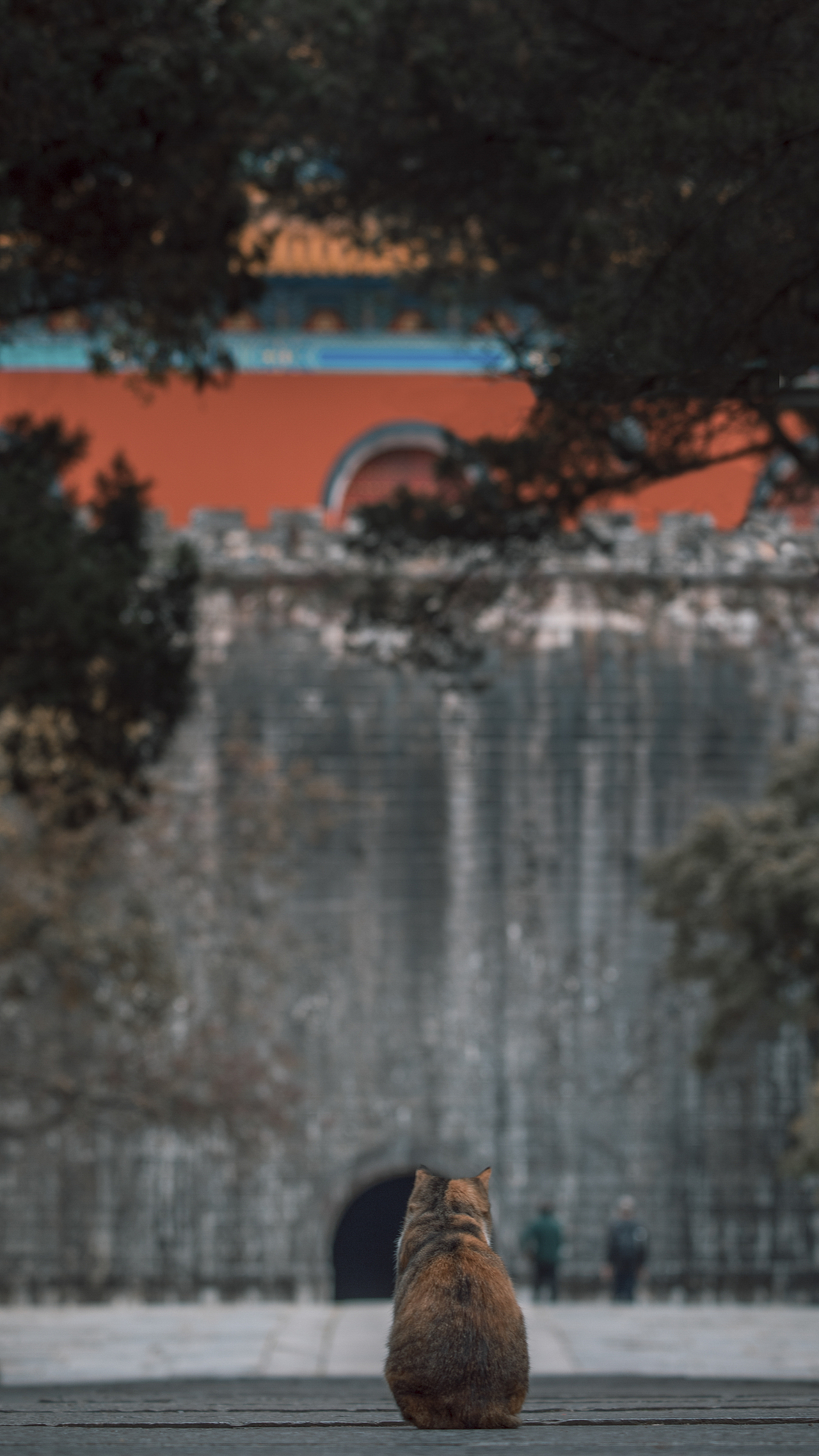 南京 南京（图ZMjMxMjY5Njg0） - 人文/纪实摄影 - 站酷设计师拾光朝圣者原创素材 - 站酷ZCOOL