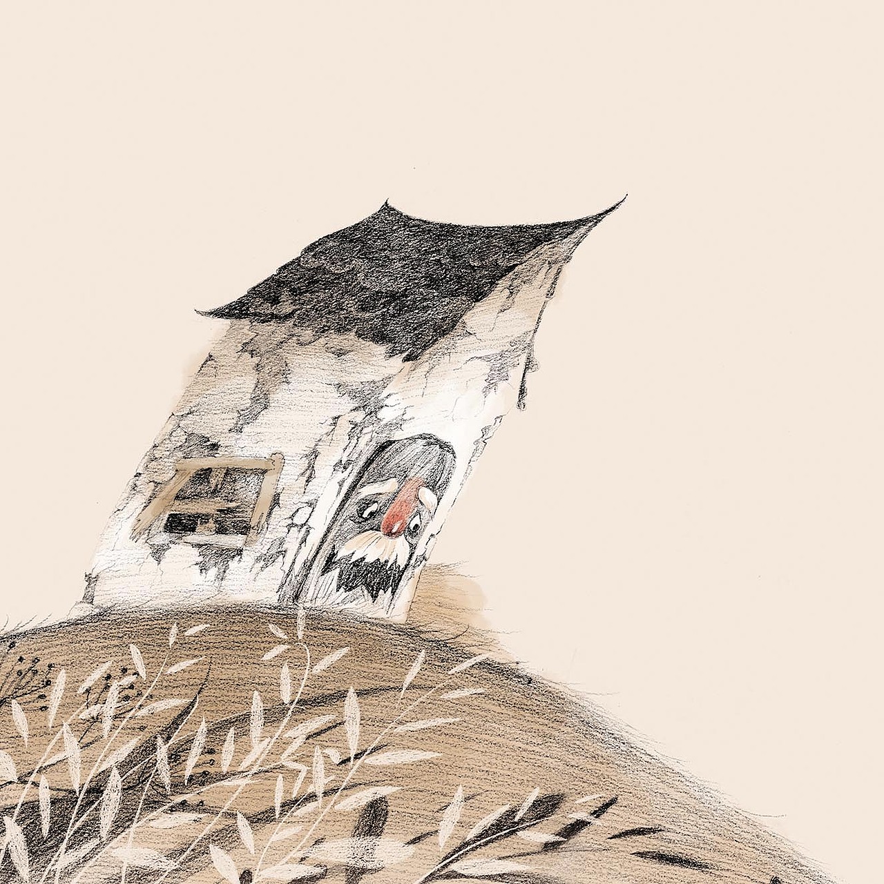 名家童话总也倒不了的老屋绘本