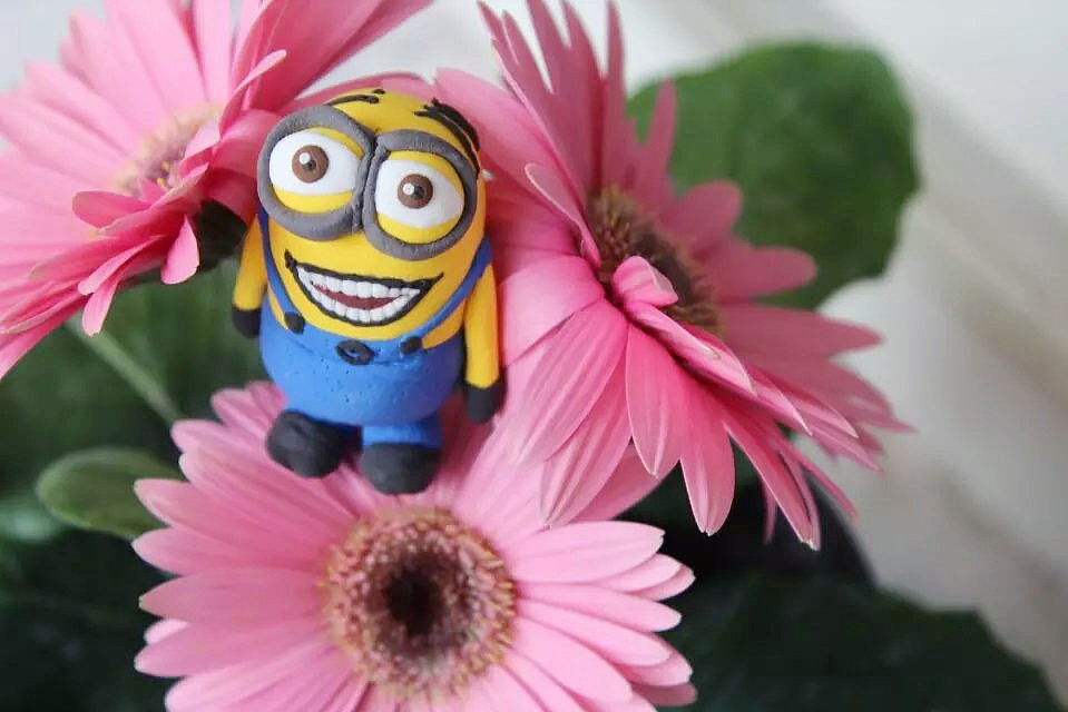 萌宠乐园（图ZNDA2Nzc1MDA=） - 其他摄影 - 站酷设计师艾希牙原创素材 - 站酷ZCOOL