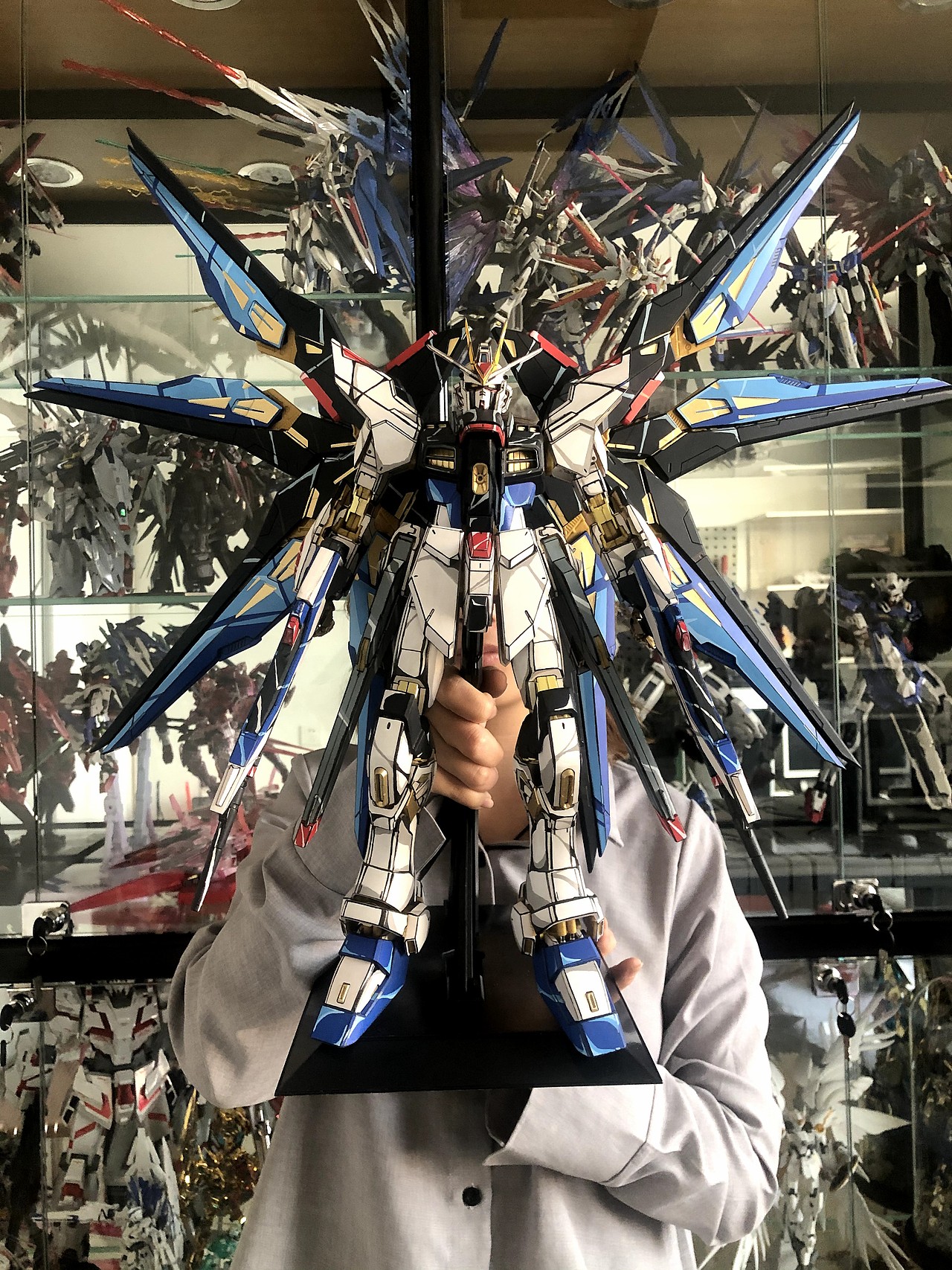 高达二次元涂装 强袭自由 zgmf-x20a pg