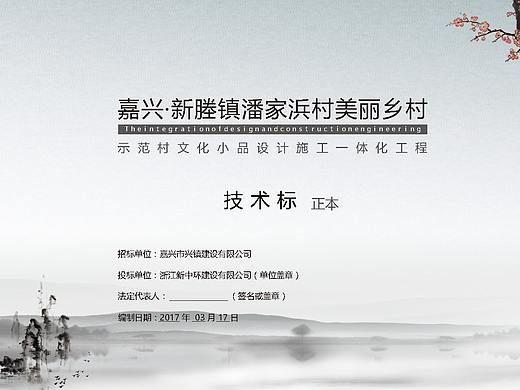 项目方案