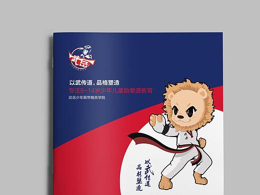 跆拳道培训画册 无儿童教育培训画册 武术画册