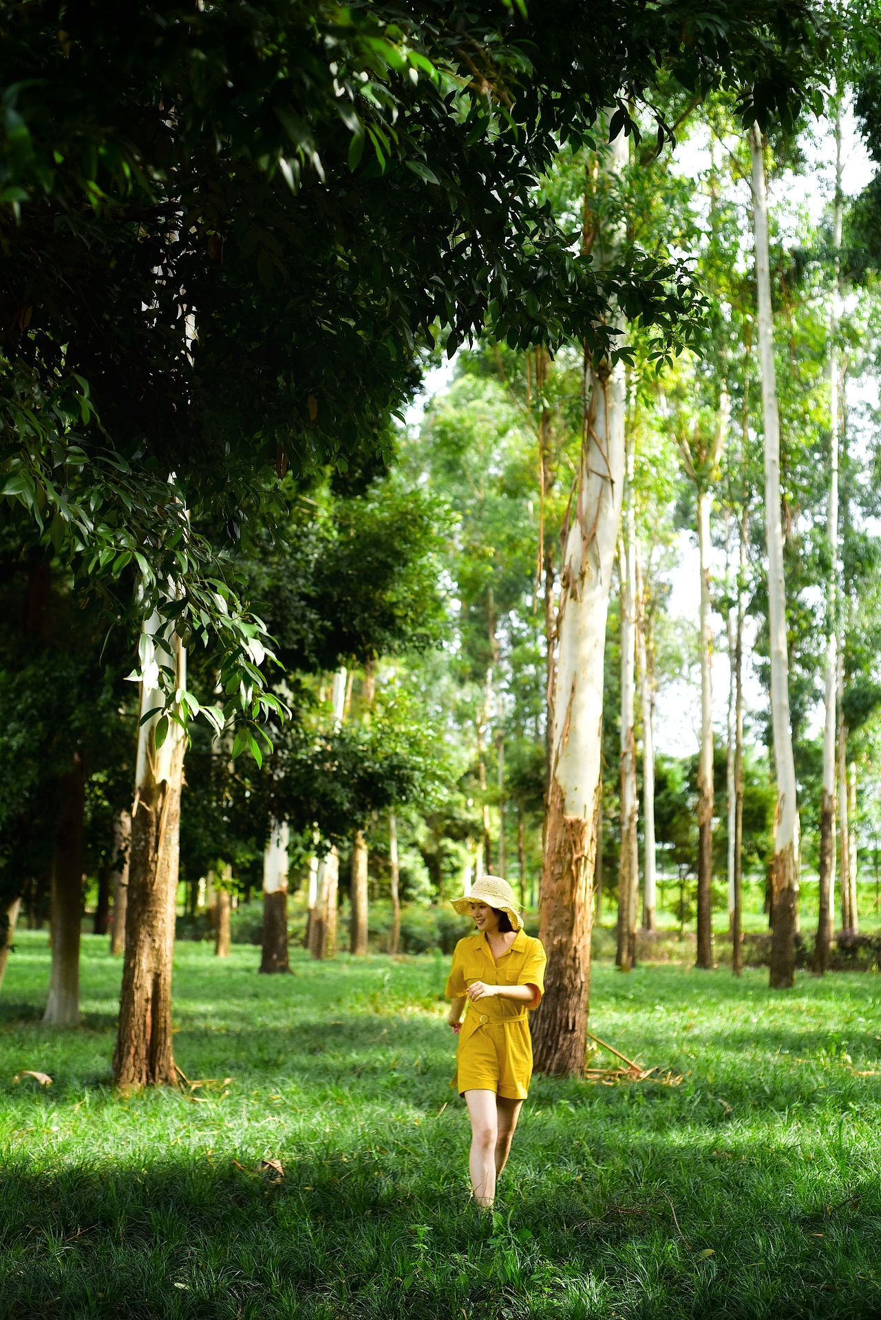 向日葵清新人物草地写真摄影拍照