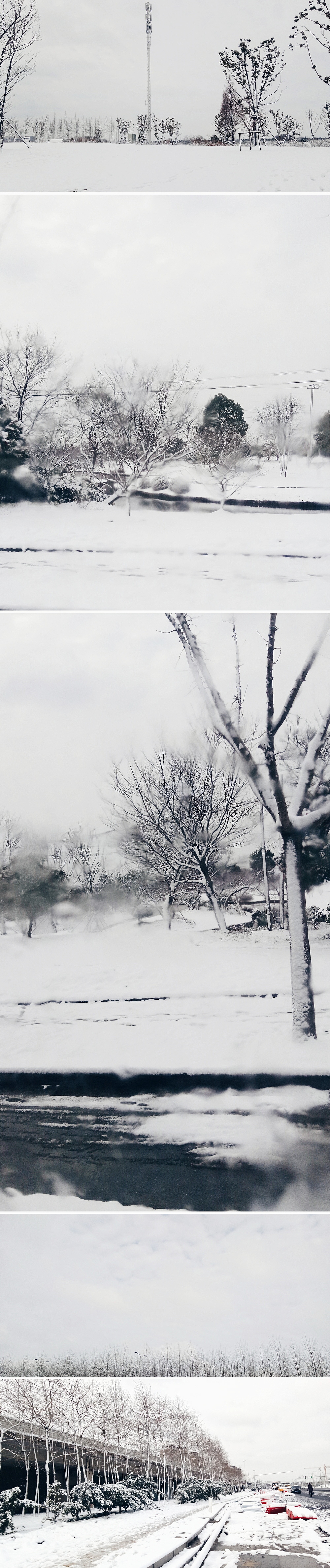 2018上海的第一场雪