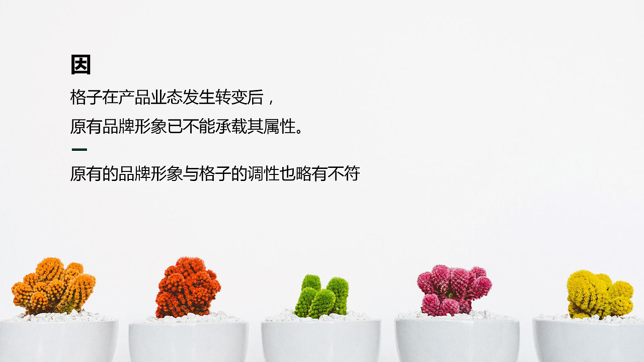 格子 | GREENLIB 轻食|便利【221品牌空间原创】