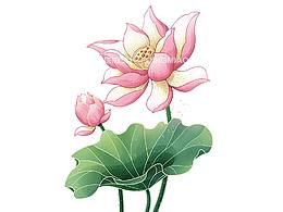 春节