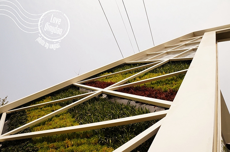 【wujian】倾国“青”城—Love QingDao