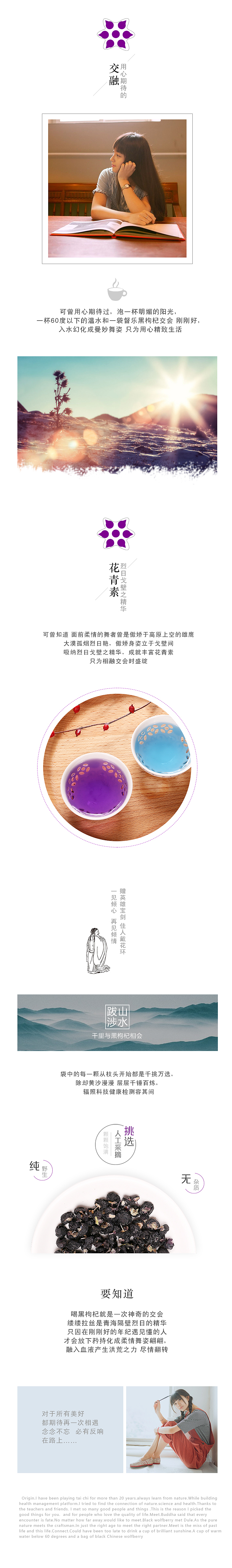 公司电商黑枸杞