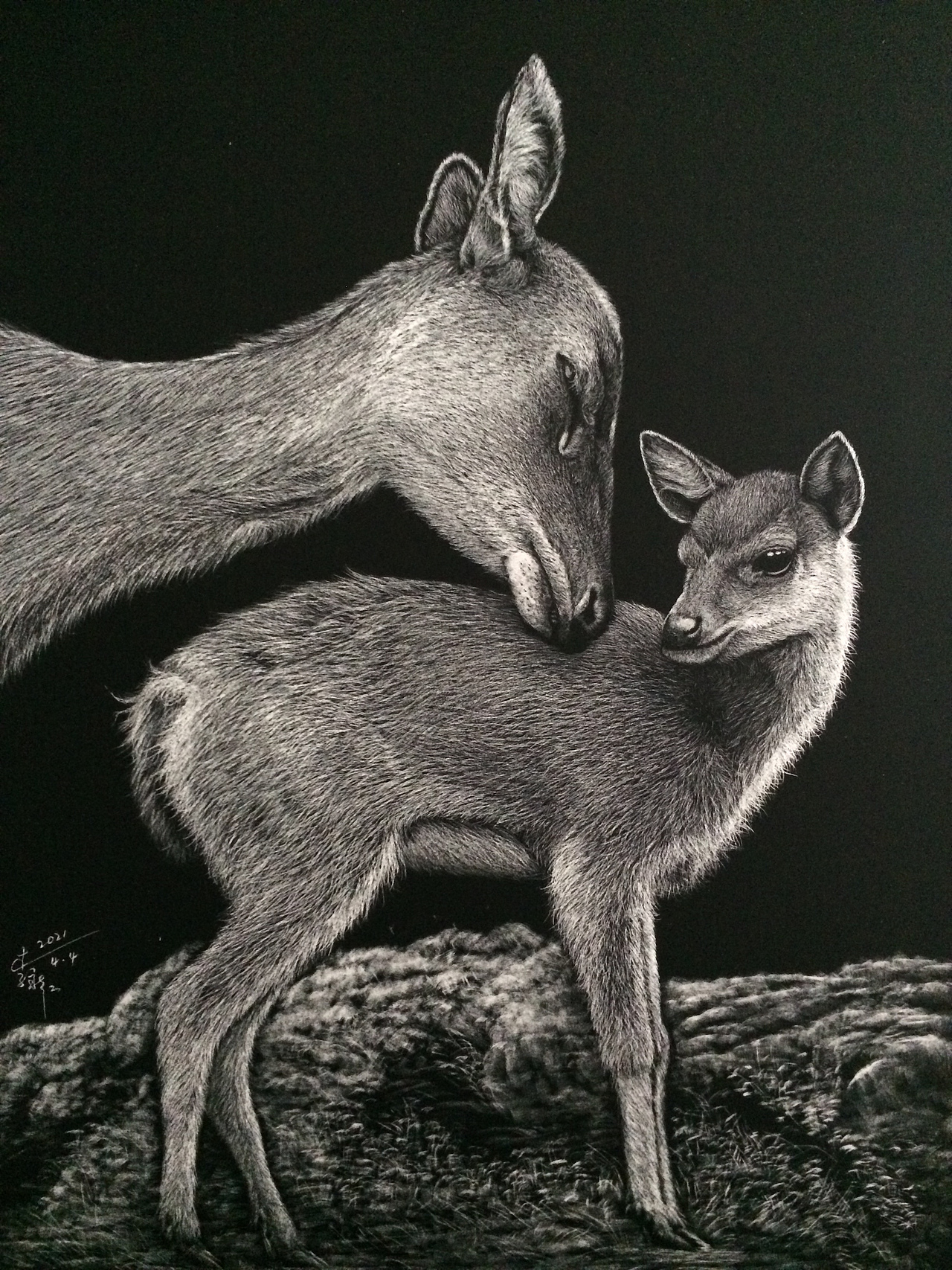 李子哥刮画作品《一鹿有你》