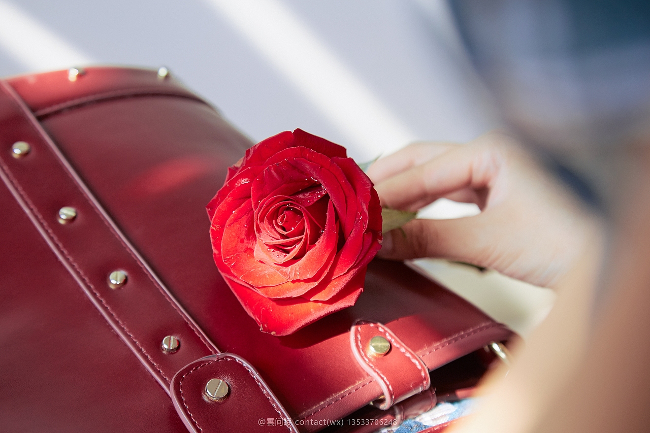 " 逃离花瓶的无根玫瑰 " 人像写真 复古写真