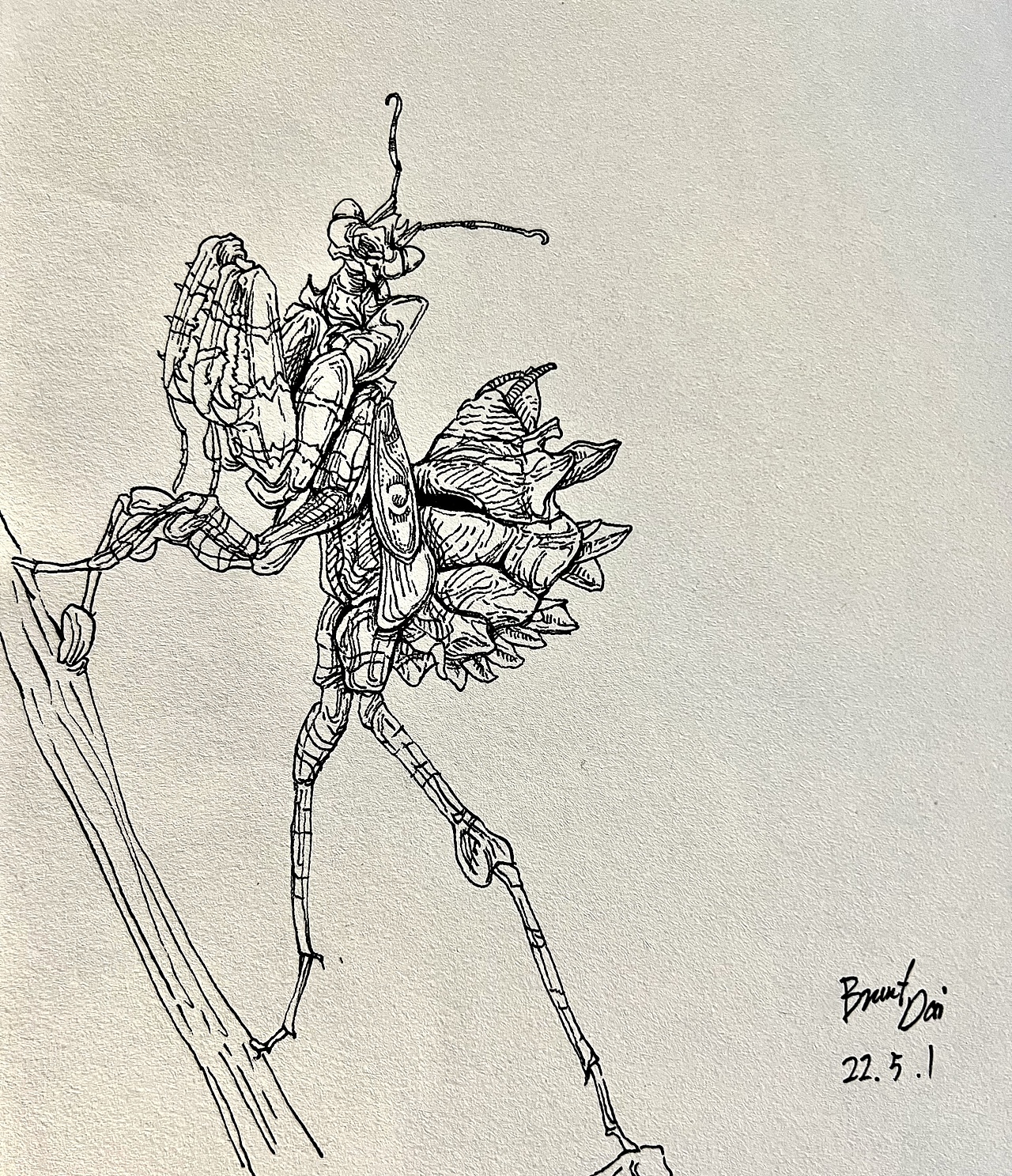 最近的有趣生物们