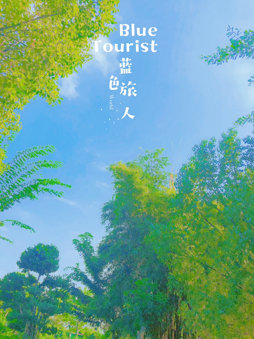 "逃离城市的喧嚣,跑进山野的怀抱!🍃摄影