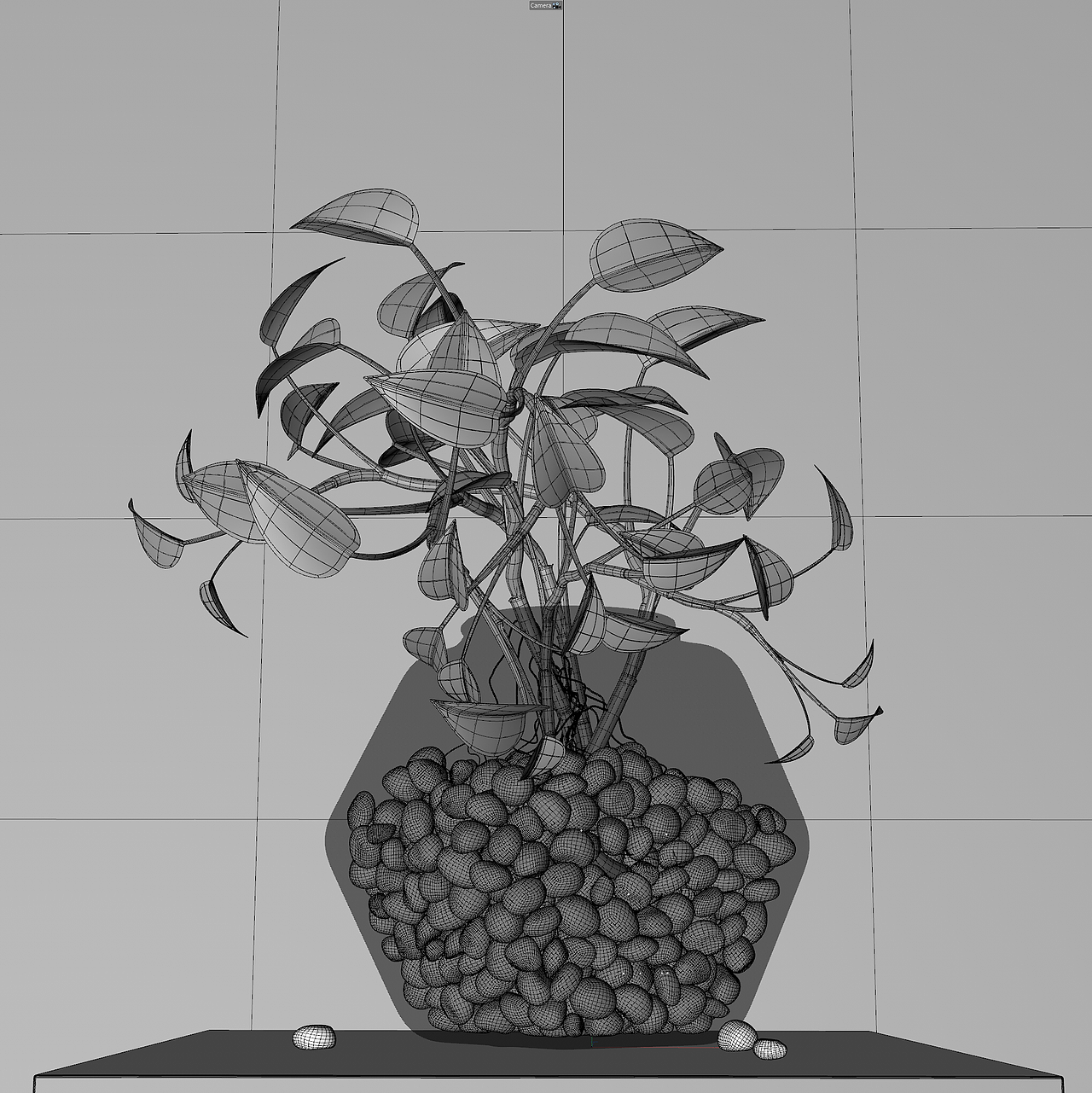 水培绿萝（图ZMjAxNjI4Mzgw） - 场景 - 站酷设计师ihdt上海映速原创素材 - 站酷ZCOOL