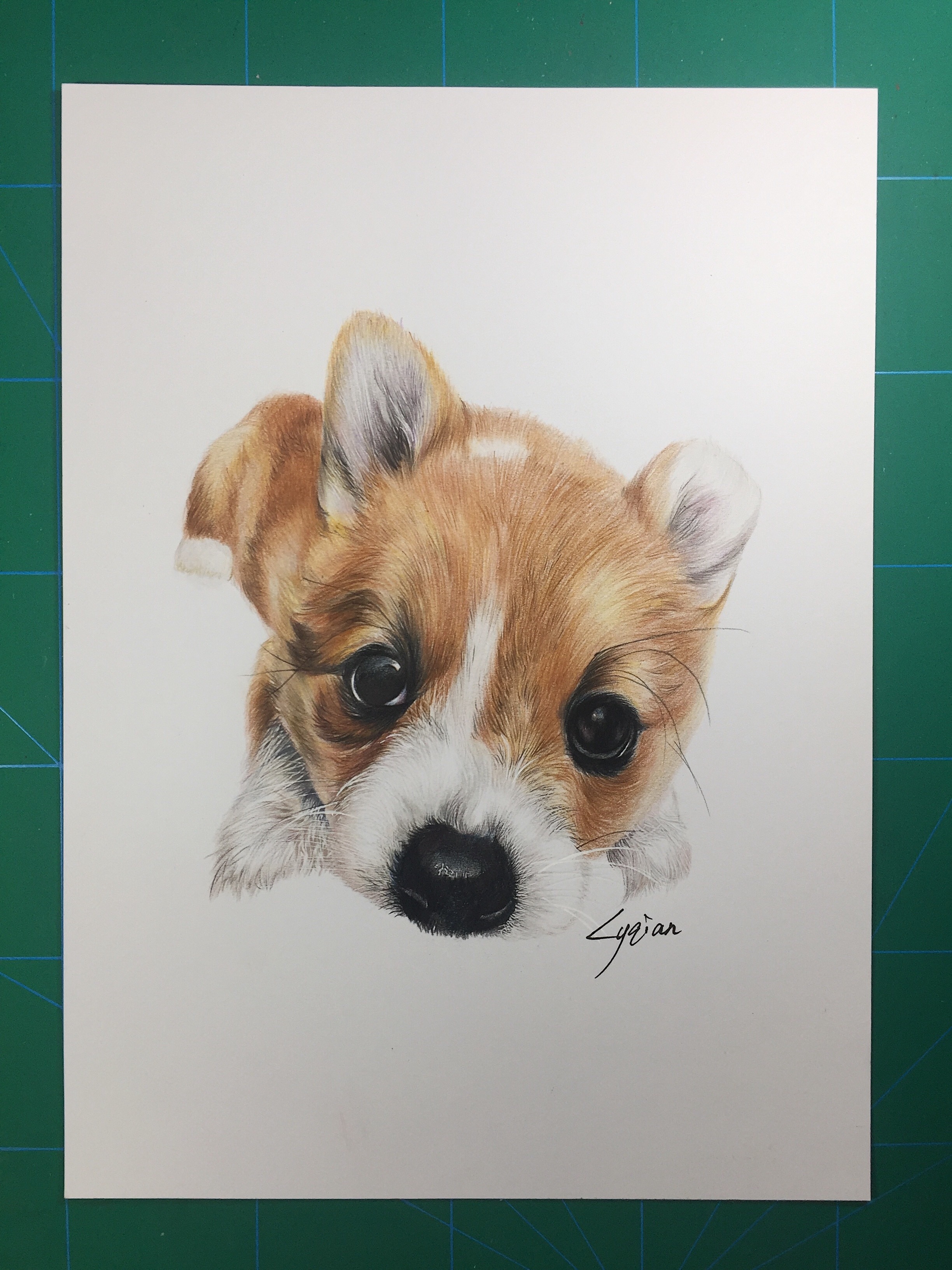 彩铅手绘|纯艺术|彩铅|lyqian017 - 原创作品 - 站酷 (zcool)