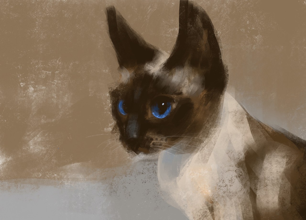 我有一只猫（图ZMTg5NTc5NTk2） - 创作习作 - 站酷设计师elevendady原创素材 - 站酷ZCOOL